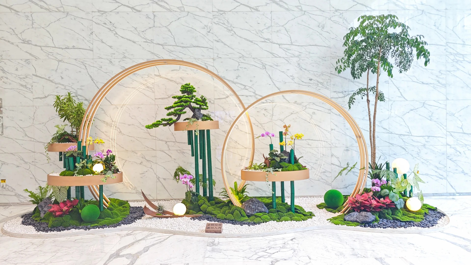 专业绿植出租在前湾,装点您的每一寸空间